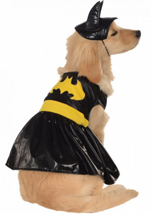 Ru887837xl Pet Costume Batgirl Xlarge