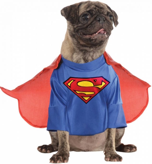 Ru887871lg Pet Costume Superman Large