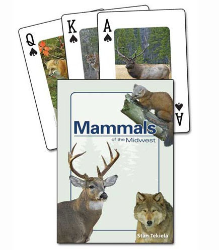 . Ap32840 Mammals Of The Midwest Playing Cards