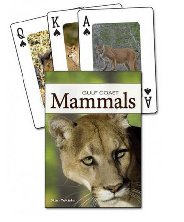 . Ap33632 Mammals Of The Gulf Coast Playing Cards