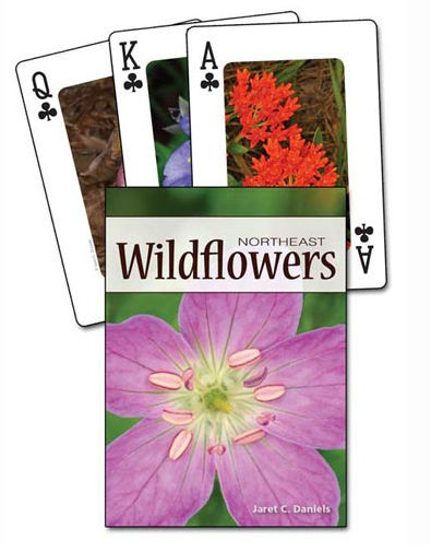 . Ap33946 Wildflowers Of The Northeast Playing Cards