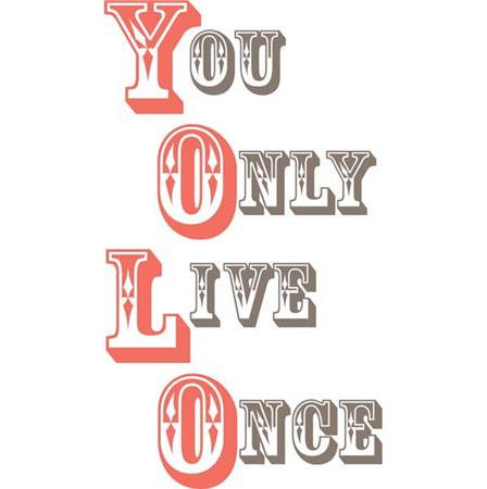 Wallpops Wpq0749 Yolo - You Only Live Once Wall Quote Decals