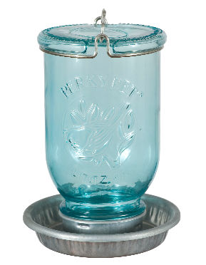 Pp783 Antique Wide Blue Glass Waterer
