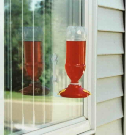 Soda Bottle Window Hummingbird Feeder