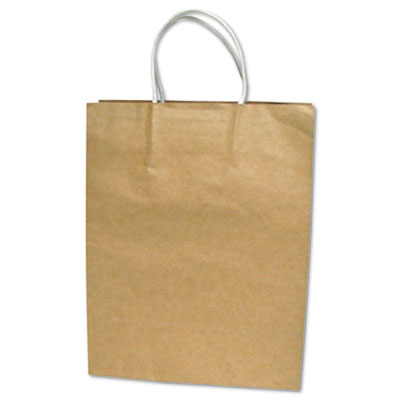 Consolidated Stamp 091566 Premium Large Brown Paper Shopping Bag, 50-box