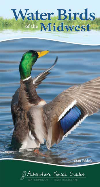 . Water Birds Of The Midwest - Adventure Quick Guide