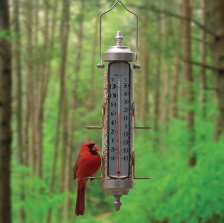 Bird Feeder Thermometer 1 Lb Satin Nickel