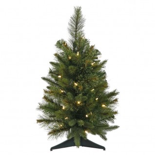 24 In. X 16 In. Cashmere Tree 30wmwht Bo Timer