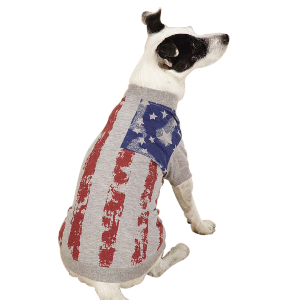 Y Americas Pup Flag Print Tee Sm Gray