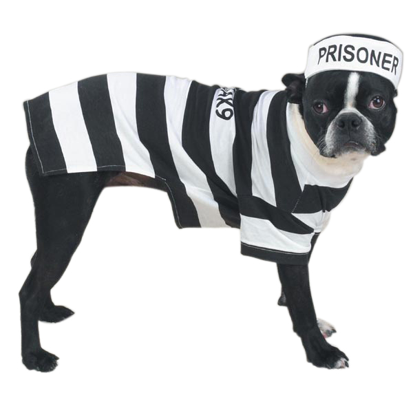 Zw894 24 Prison Pooch Costume Xl