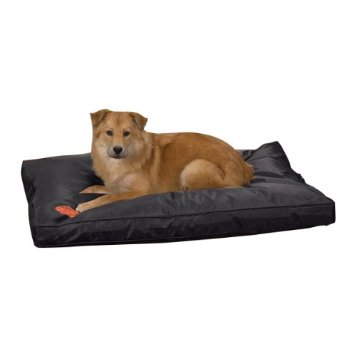 Zw3422 36 17 Toughstructable Bed 36x23 In Black