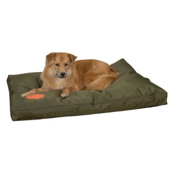 Zw3422 36 43 Toughstructable Bed 36x23 In Green