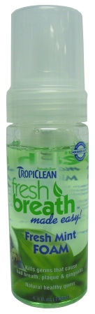 Fresh Breath Mint Foam 4.5 Ounce 001022