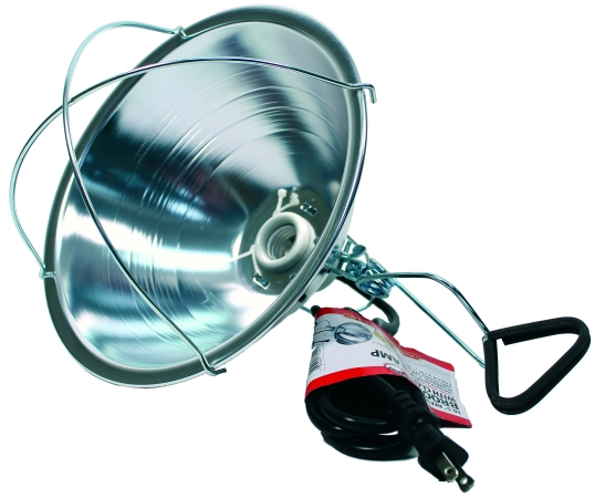 Reflector Brooder Lamp With Clamp 10.5 Inch Silver 170017