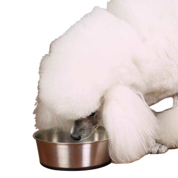 Stainless Steel Bowl With Rubber Base 16oz