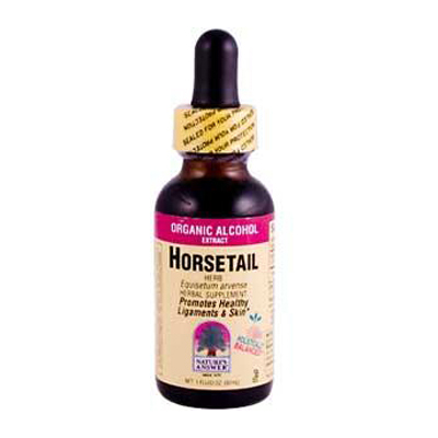 Nature's Answer Horsetail Herb - 1 Fl Oz