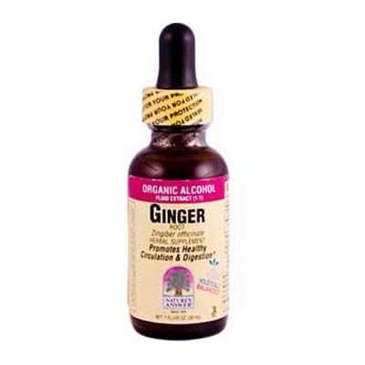 Nature's Answer Ginger Root Extract - 1 Fl Oz