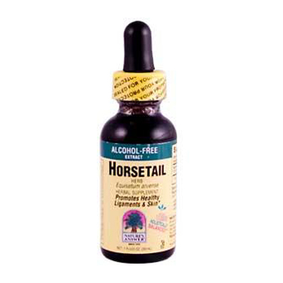Nature's Answer Horsetail Herb Alcohol Free - 1 Fl Oz