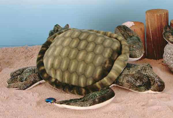 1265744 8 In. Sea Turtle -pack Of 24