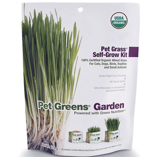 669828550052 Pet Greens Cat Organic Self Grow Kit