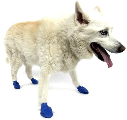 897515001048 Dog Boots Blue Medium 12ct