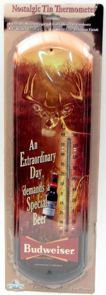 An Extraordinary Day Thermometer