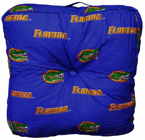 Flofp Florida Floor Pillow