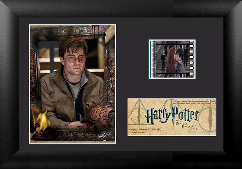 Harry Potter 7 Pt 2 (s3) Minicell