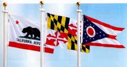 146980 3 ft. x 5 ft. Indoor and Parade Colonial Nyl-Glo 50 States Flag Set