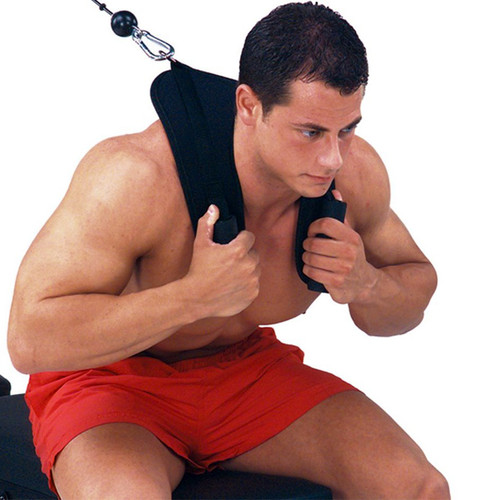 Online Gym Shops CB1506 Ab Crunch
