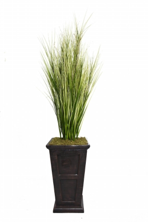 Vhx114201 Laura Ashley 79 In. Tall Onion Grass With Twigs In 16 In. Fiberstone Planter