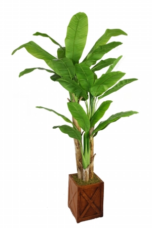 Vhx117207 Laura Ashley 81 In. Tall Banana Tree With Real Touch Leaves In 13 In. Fiberstone Planter