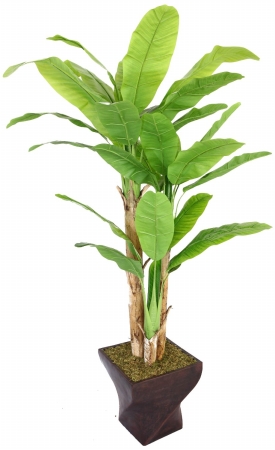 Vhx117203 Laura Ashley 82 In. Tall Banana Tree With Real Touch Leaves In 17 In. Fiberstone Planter