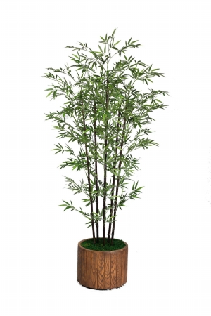 Vhx117202 Laura Ashley 77 In. Tall Banana Tree With Real Touch Leaves In 16 In. Fiberstone Planter