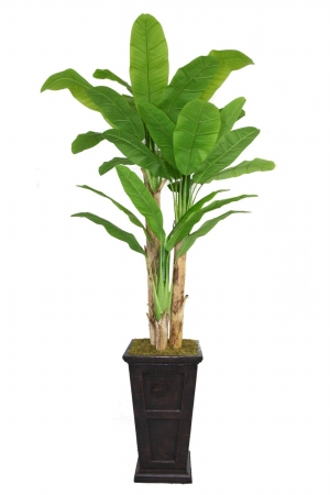 Vhx117201 Laura Ashley 91 In. Tall Banana Tree With Real Touch Leaves In 16 In. Fiberstone Planter