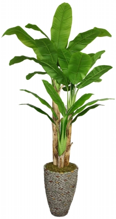 Vhx117209 Laura Ashley 86 In. Tall Banana Tree With Real Touch Leaves In 16 In. Fiberstone Planter