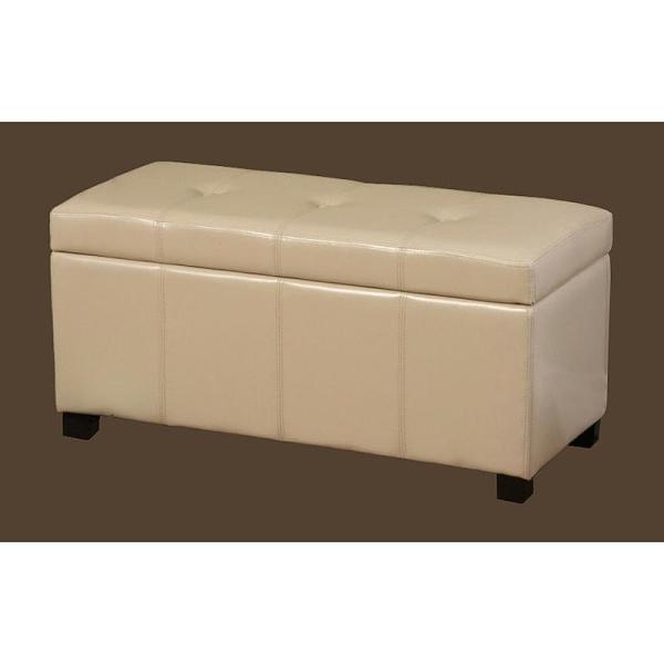 WT-M1157-WB IVORY Ariel Ivory Leather Storage Bench