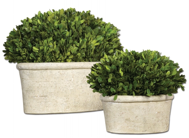 60107 Oval Domes Preserved Boxwood Set-2