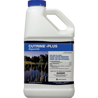 Cutrine Plus 1-gallon
