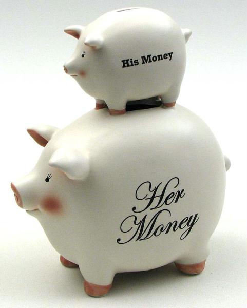049-26134 His Money-her Money Pig Bank