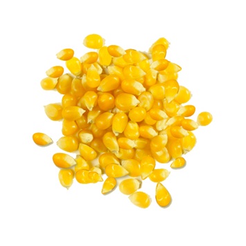 Bg13568 Whole Yellow Corn - 1x25lb