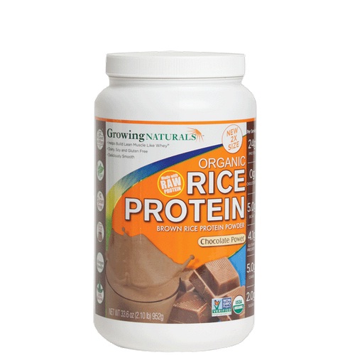 Bg13993 Rice Protein Chocolate - 1x33.6oz