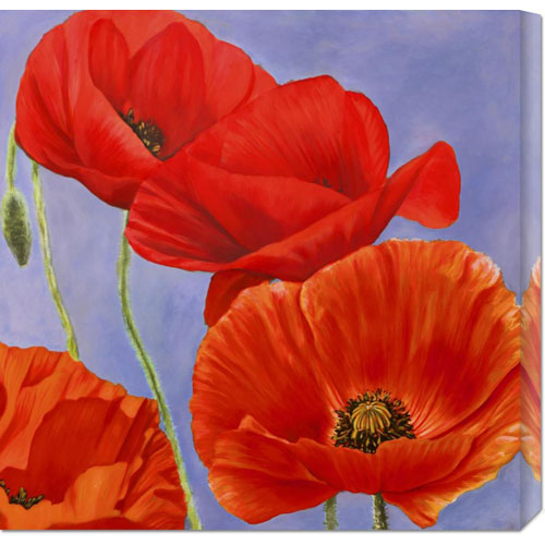Luca Villa 'dance Of Poppies I' Stretched Canvas