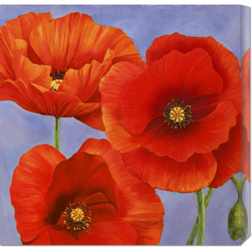 Luca Villa 'dance Of Poppies Ii' Stretched Canvas