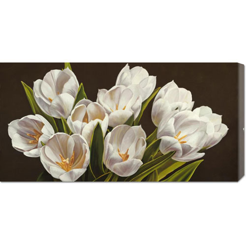 Bentley Global Arts Dba American Walls Gcs-375370-1836-142 Serena Biffi 'bouquet Di Tulipani' Stretched Canvas