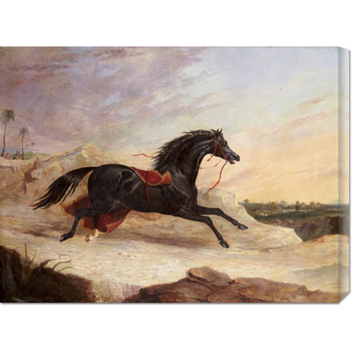 John Frederick Herring 'arabs Chasing A Loose Arab Horse In An Eastern Landscape' Stretched Canvas