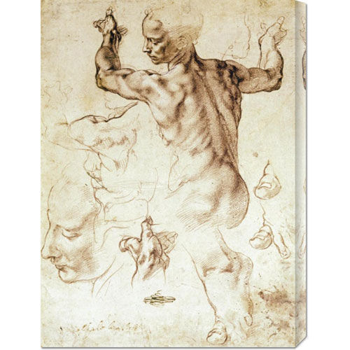 Michelangelo 'anatomy Sketches (libyan Sibyl)' Stretched Canvas