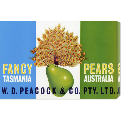 Bentley Global Arts Dba American Walls Gcs-376029-22-142 Retrolabel 'peacock Pears' Stretched Canvas