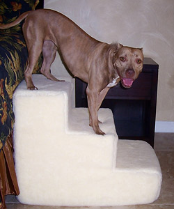 Big Dawg Foam Pet Stairs - 3 Step