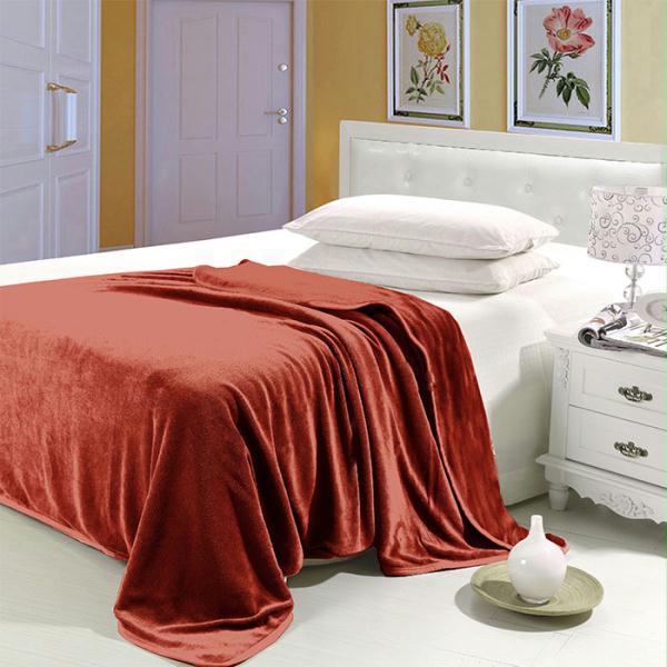 Lavish Home Super Soft Flannel Blanket - Twin